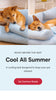CoolNest - Pets Landing Page Template for Shopify | Ecombe