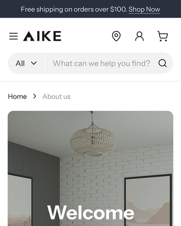 Aike - Home About Page Template for Shopify | Ecombe