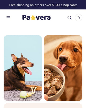 Pawvera - Pets Homepage Template for Shopify | Ecombe