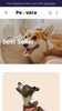 Pawvera - Pets Collection Page Template for Shopify | Ecombe