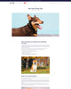 Wofyn - Pets Blog Post Page Template for Shopify | Ecombe