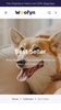 Wofyn - Pets Collection Page Template for Shopify | Ecombe