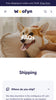 Wofyn - Pets FAQ Page Template for Shopify | Ecombe